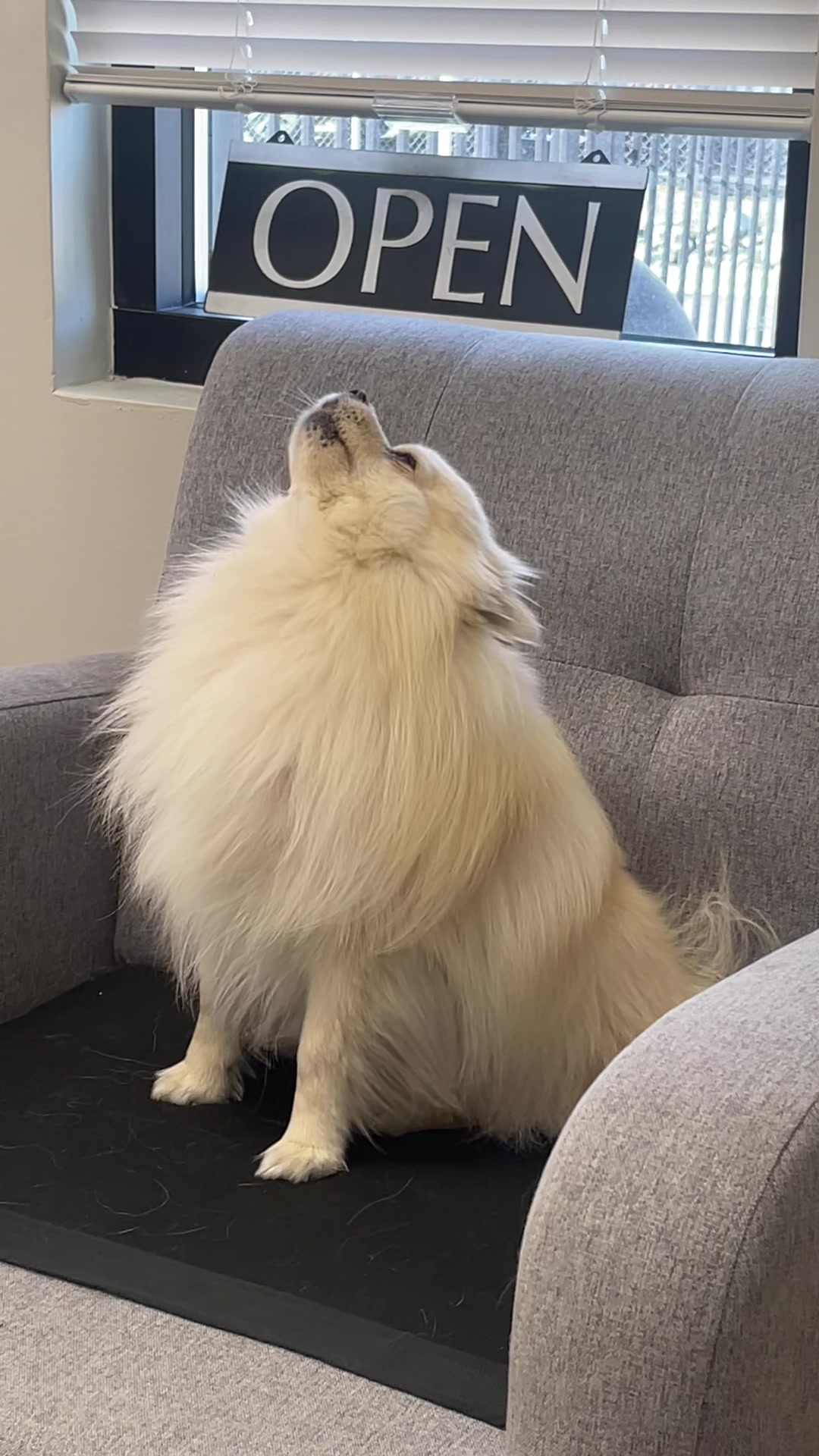 @beingmilothepom