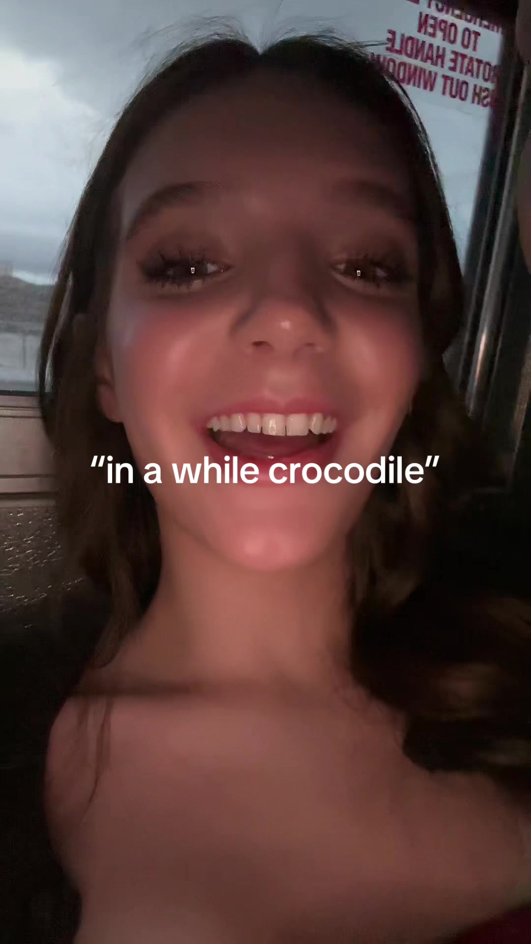 @bipitspzlvi