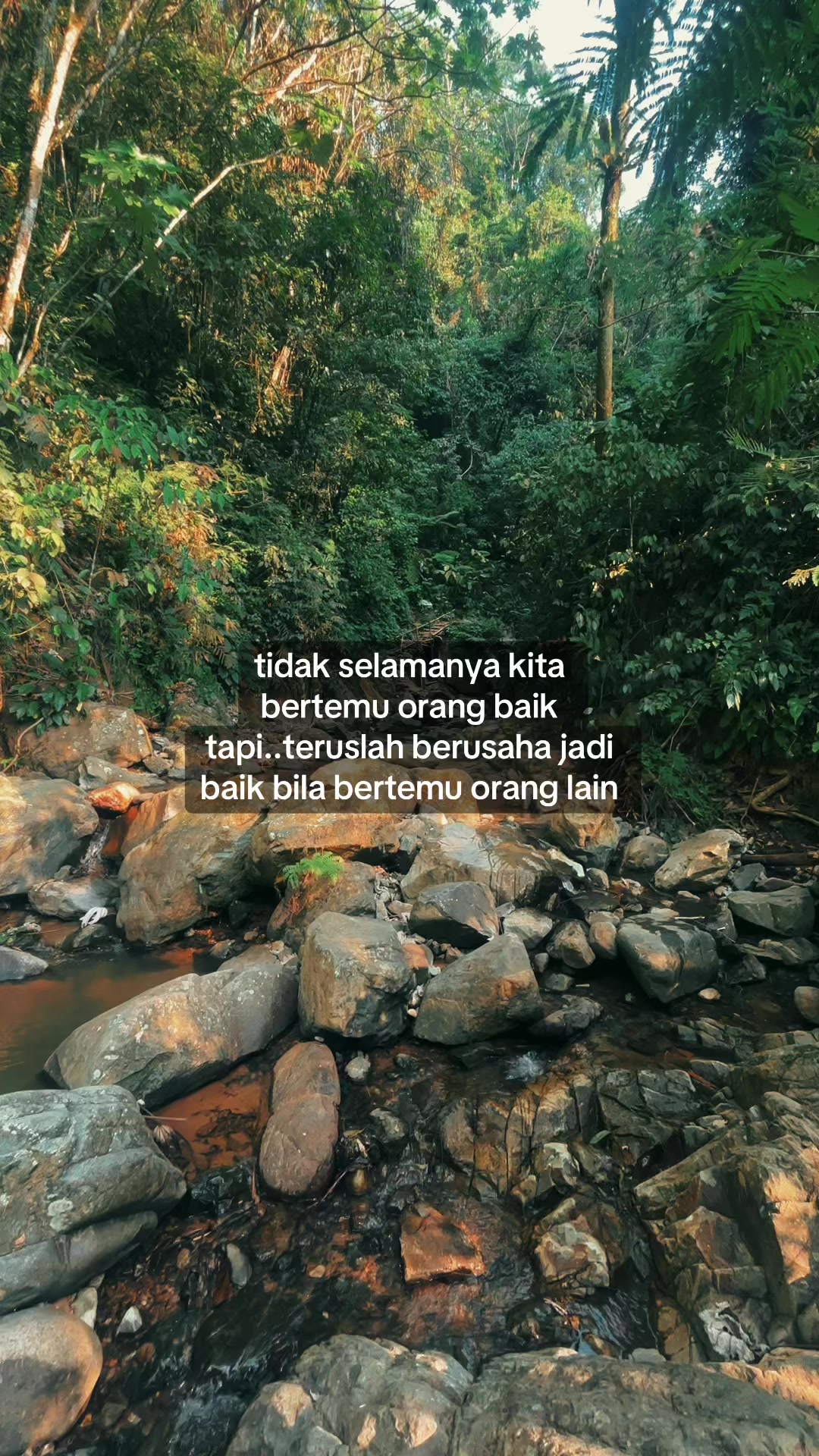 @Didi’sHobbies