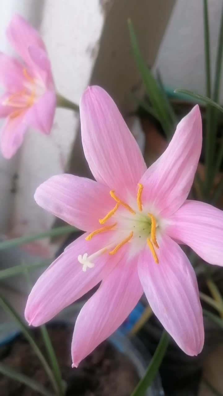 @Ruby Sajid