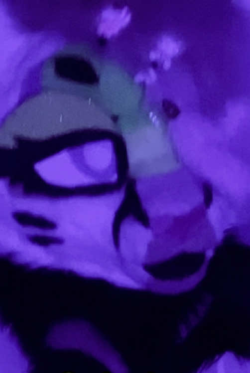@Liger~Liger🐾🍉