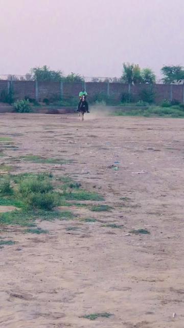 @Rai Usman