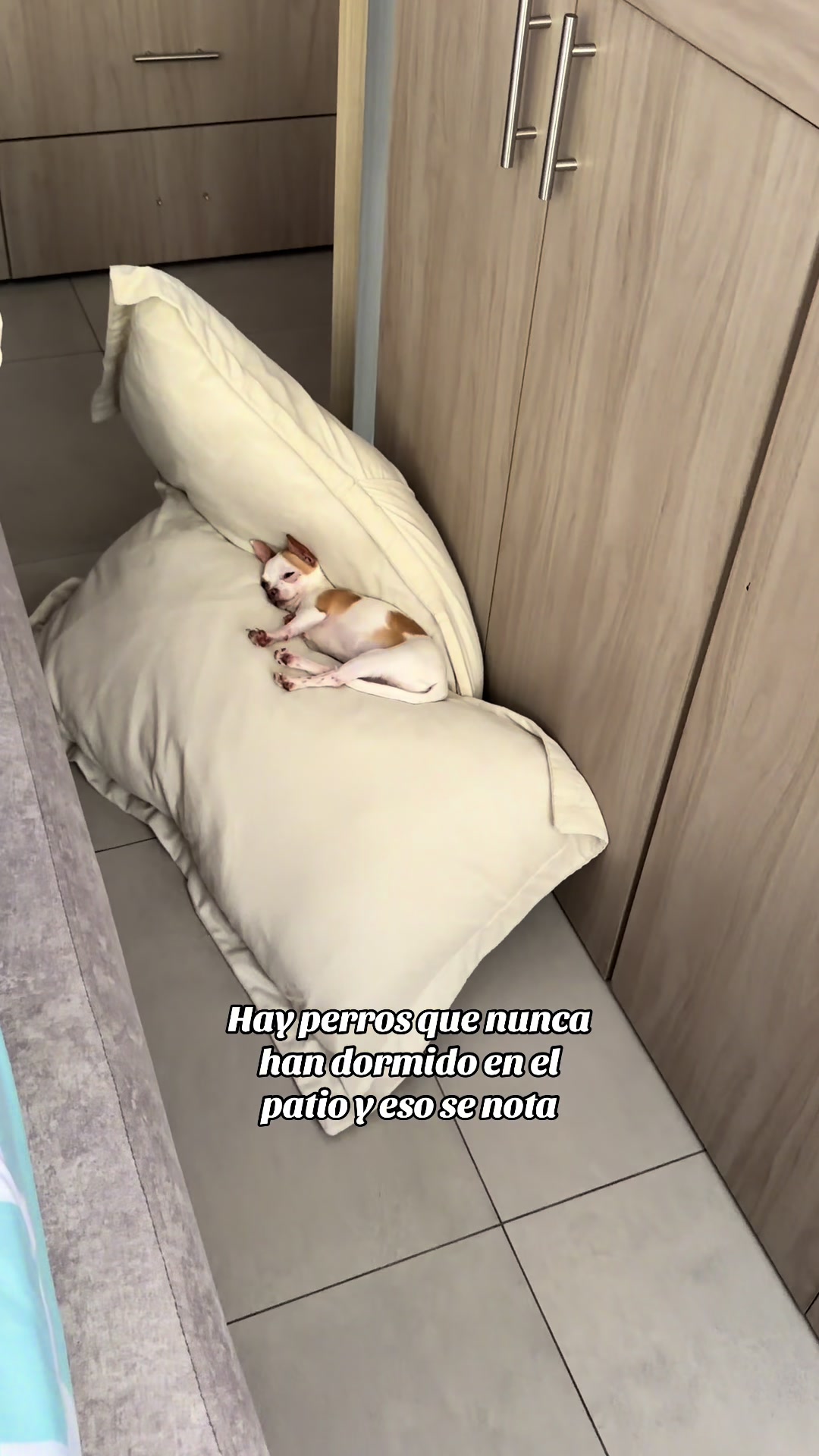 @N I C O