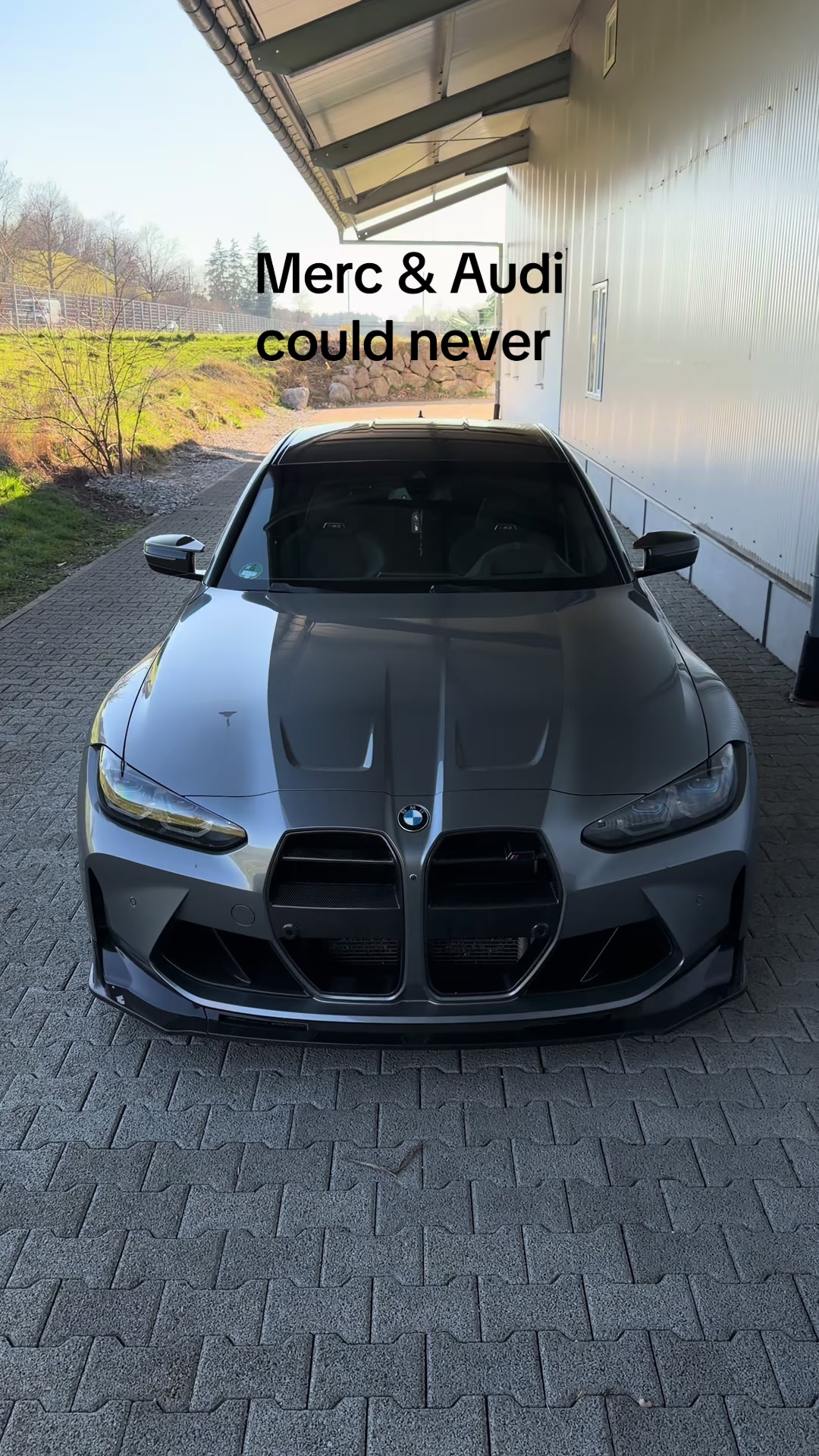 @x56 🦈