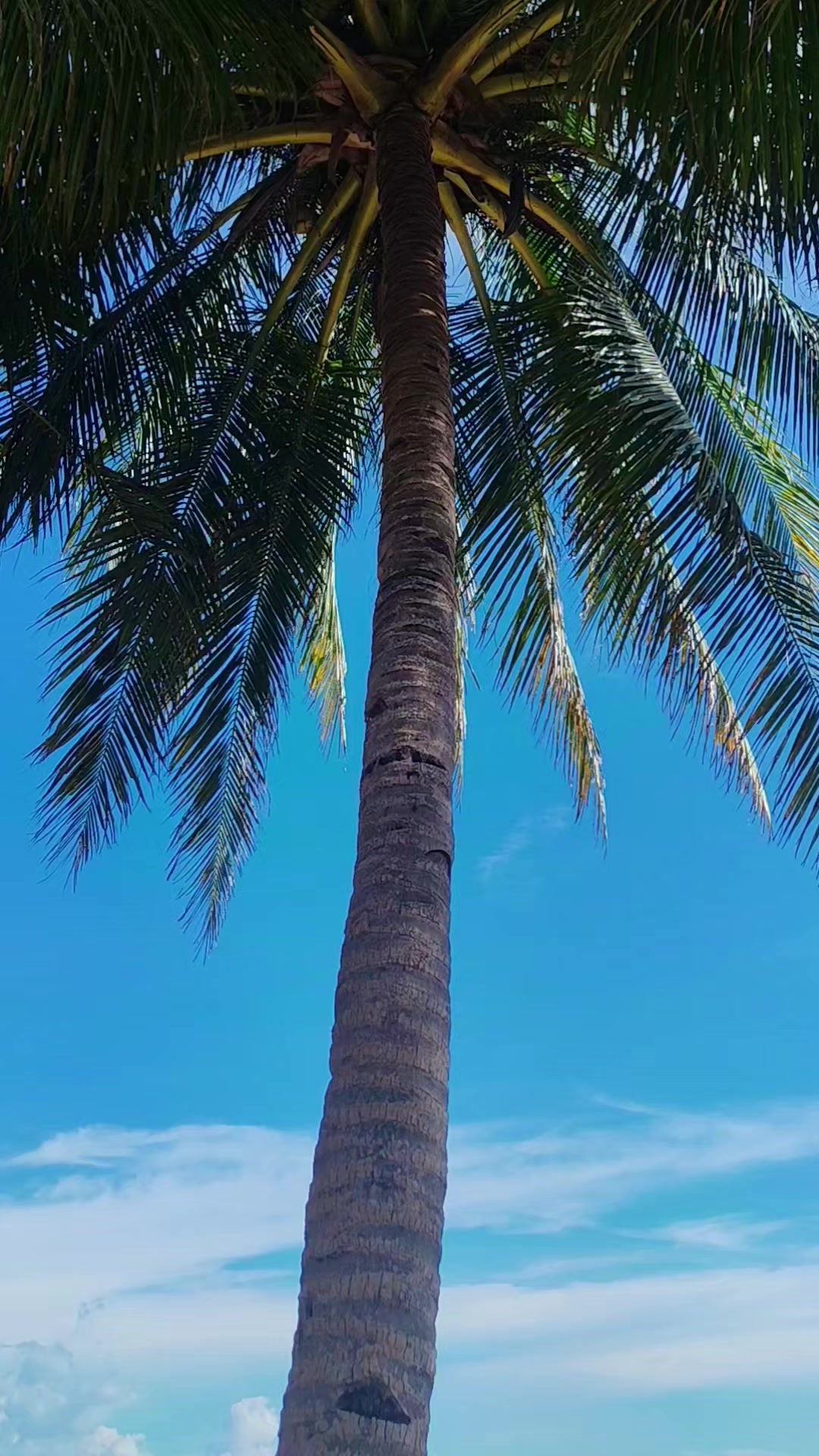 @Kezri
