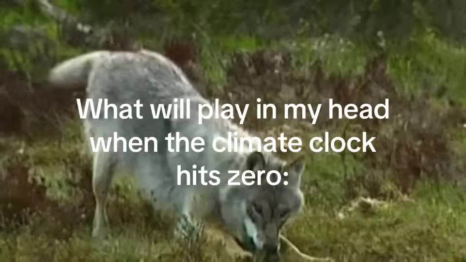 @Mike