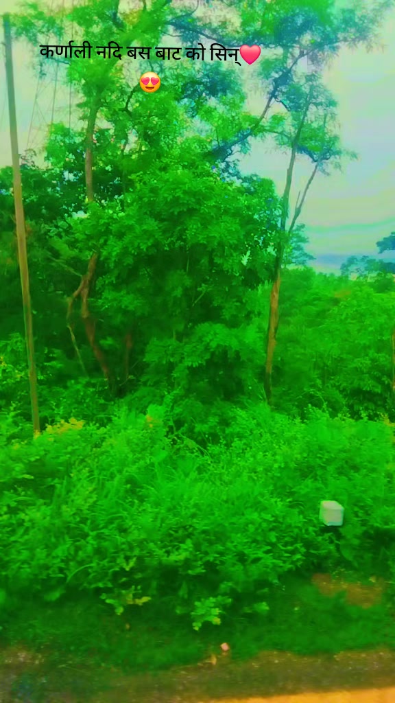 @Dipesh.10🇳🇵🦋🫶
