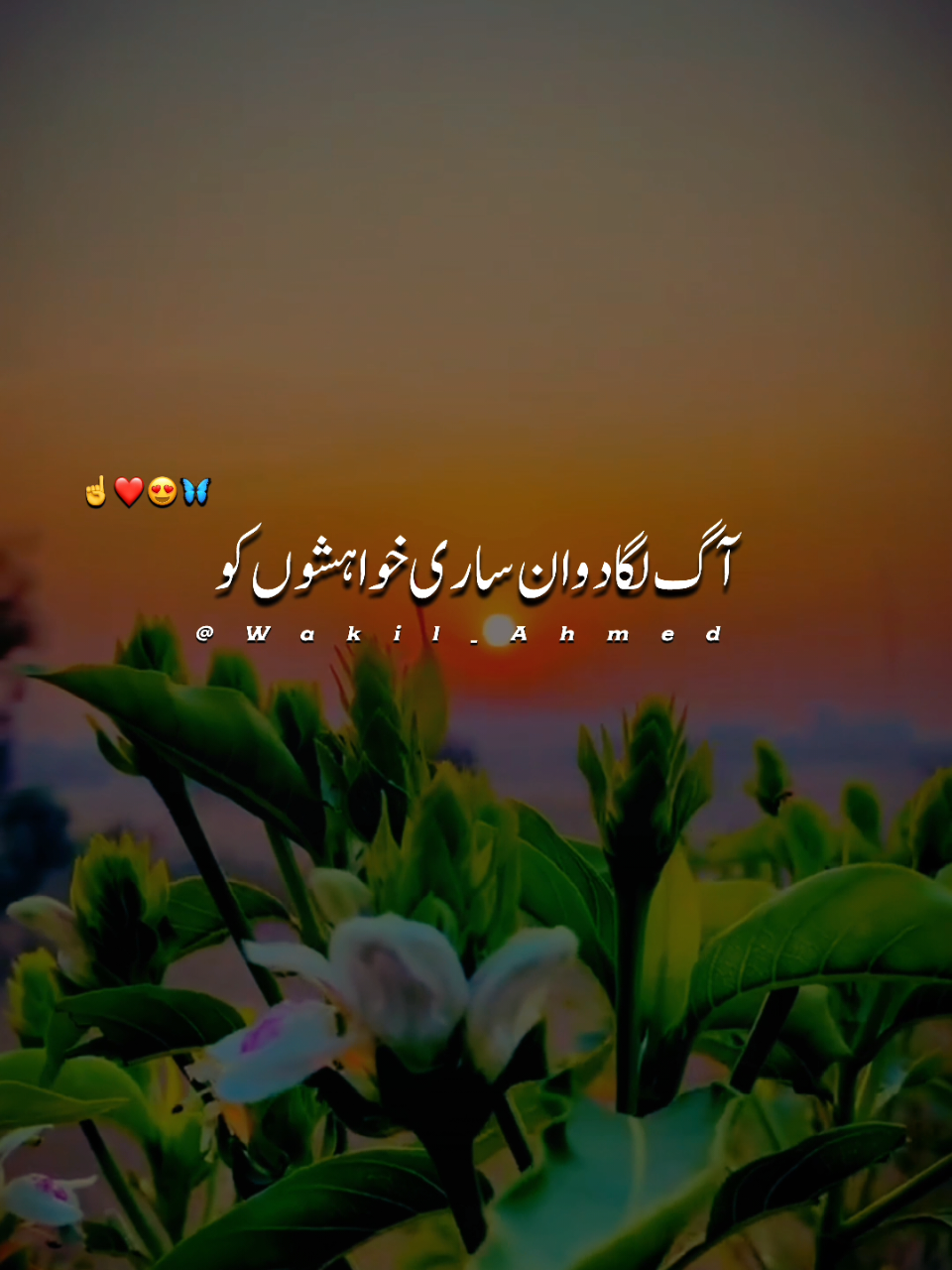 @wakilahmed