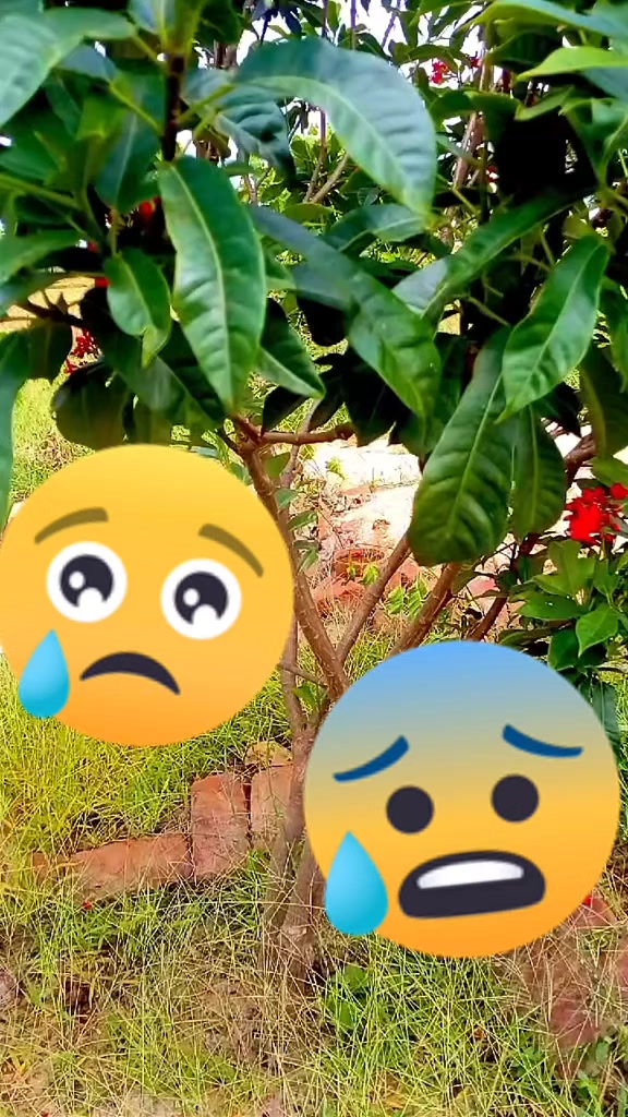 @𝑰𝑸𝑹𝑨,𝑳𝑨𝑯𝑶𝑹𝑰