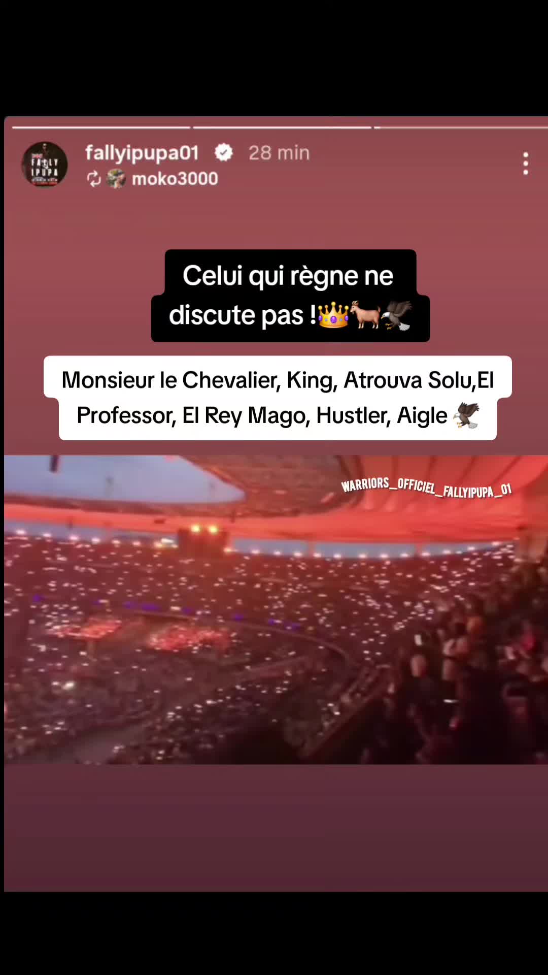 @Warriorsofficielfallyipupa01