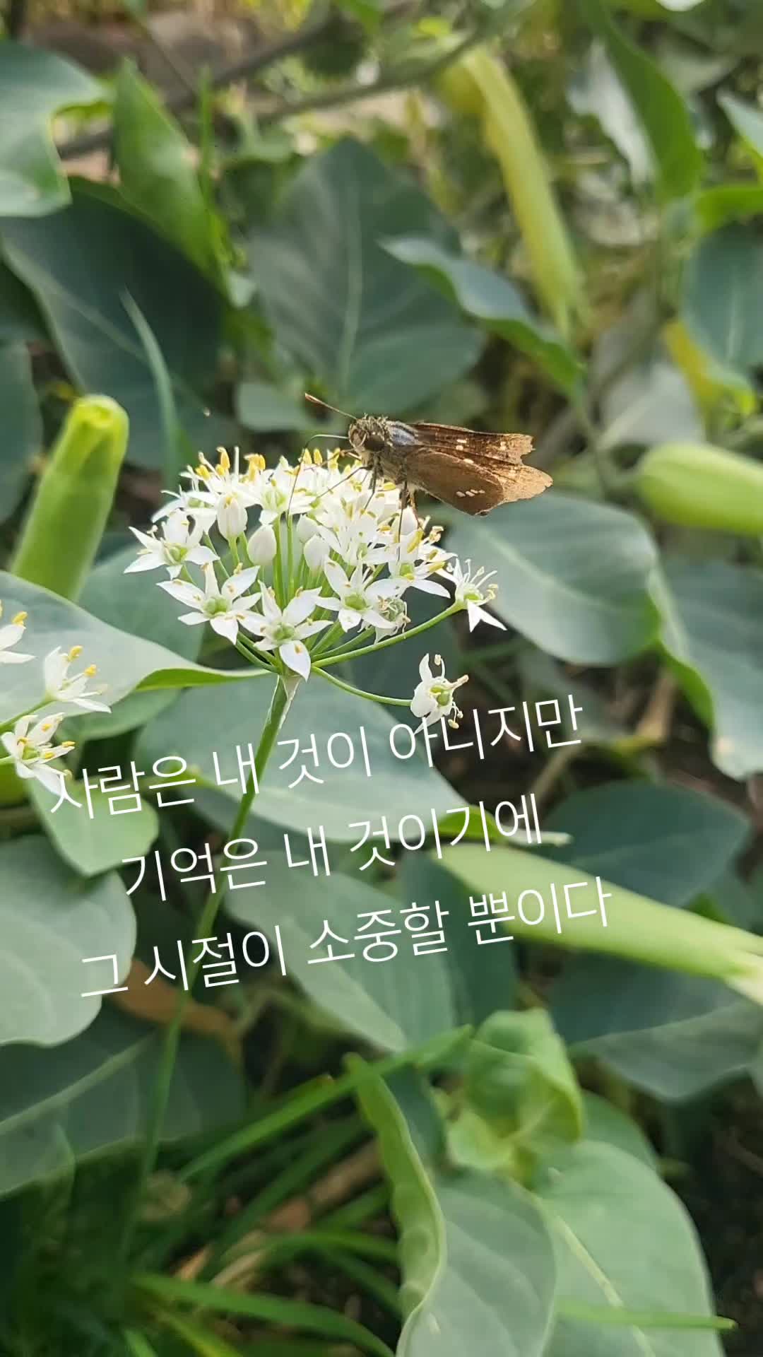 @앤