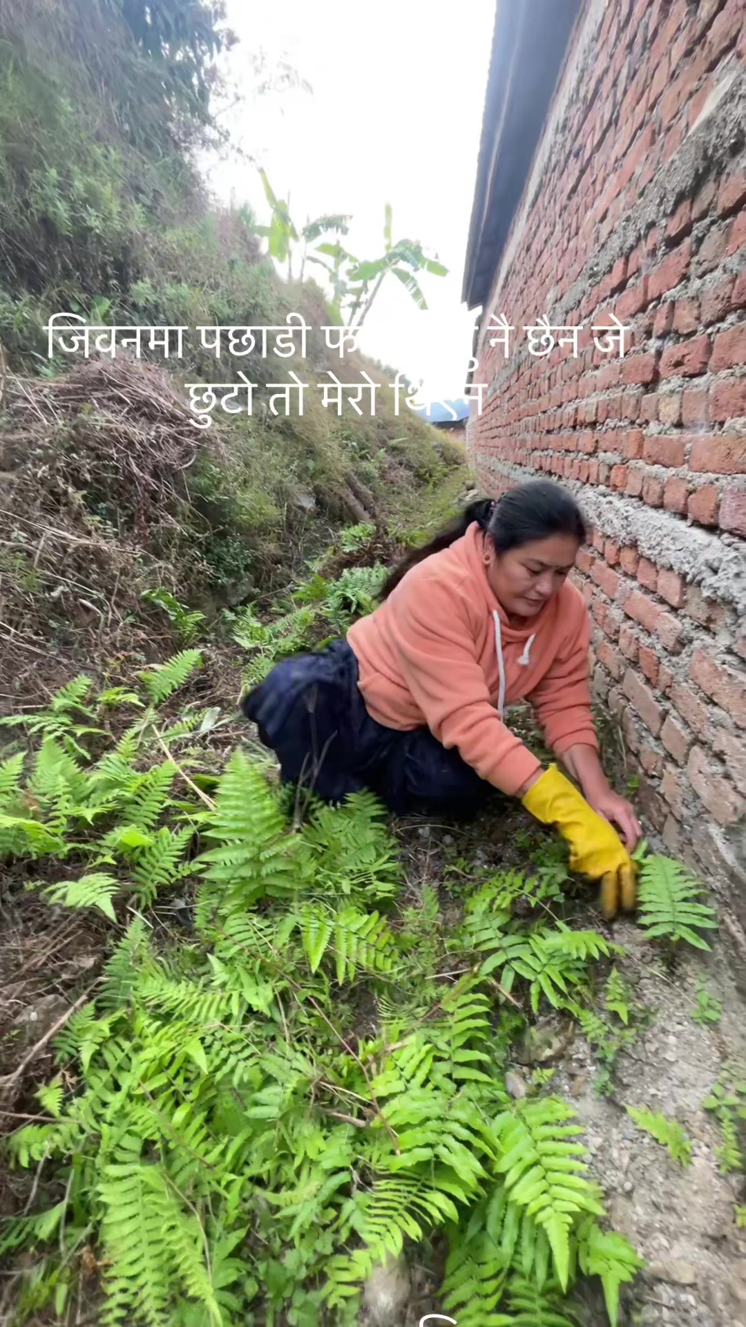 @Kamala Khadka