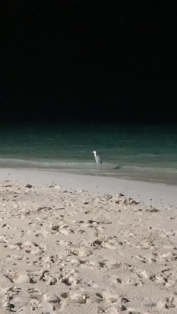 @#thereisnoplaceforhoeshere