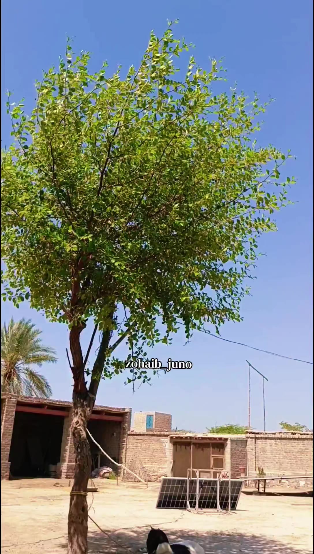 @ز..♡