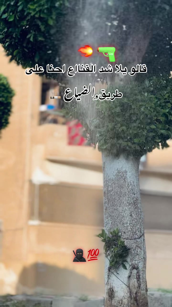 @🔁| يـسـن 🐺