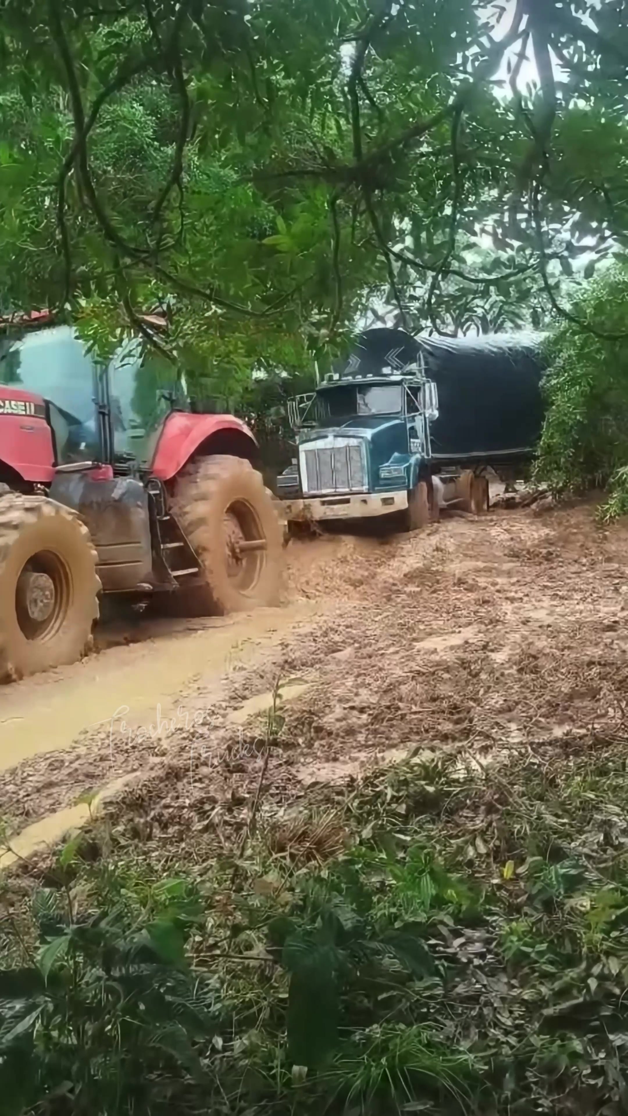 @Trocheros Trucks