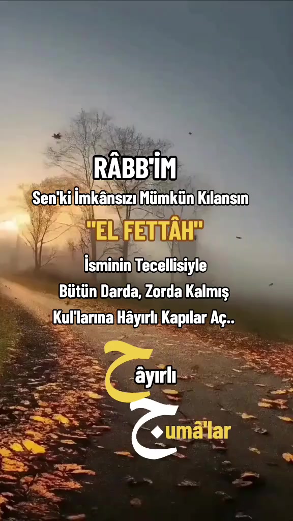 @gever_30