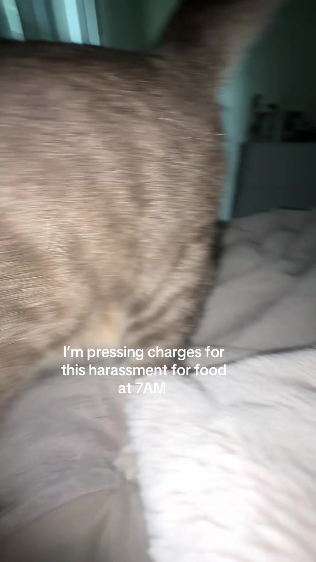 @Sierra and Nova ♡