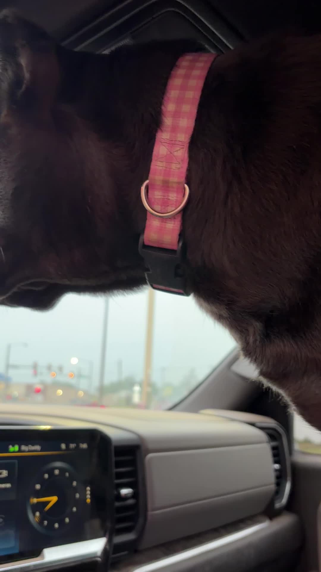@Dogmansshadow