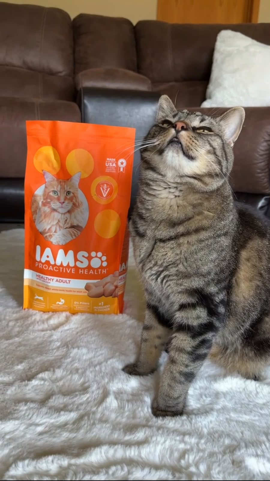 @Chip The Manx