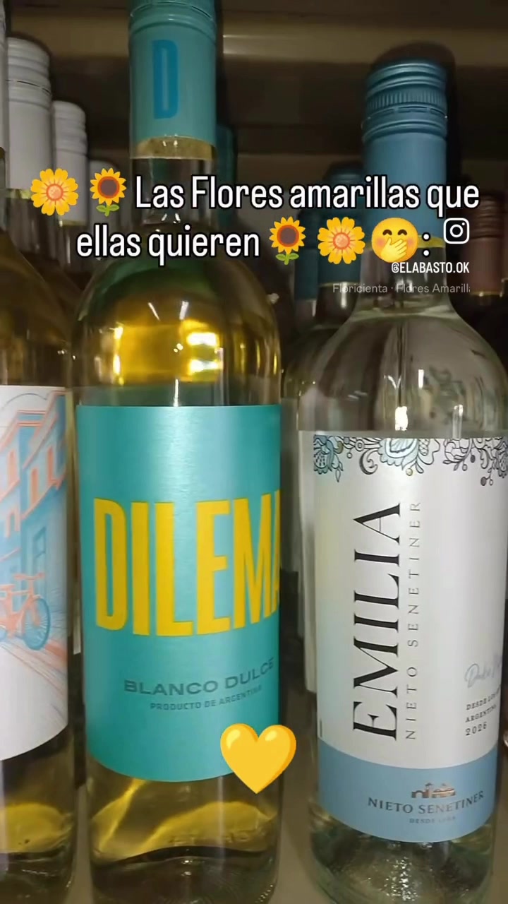 @veronica valeria montenegro