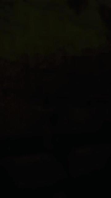 @ⲘL 🇶🇦