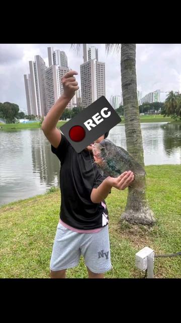 @system