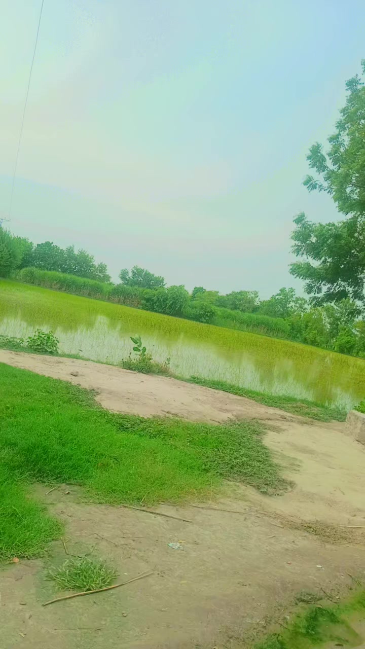 @🦅Talbaniya AraiN🦅