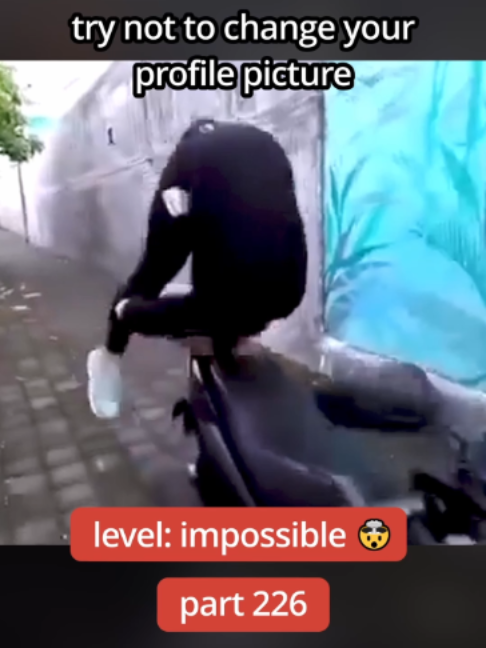 @DailyGoose