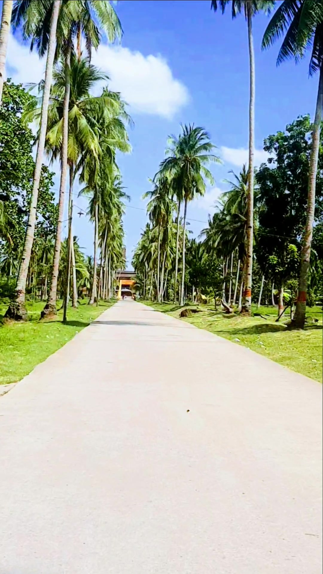 @dolifikri02