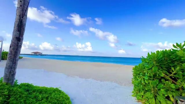 @♡ চকলেট 𝙗𝙤𝙮♡①⁴³🇧🇩🇲🇻