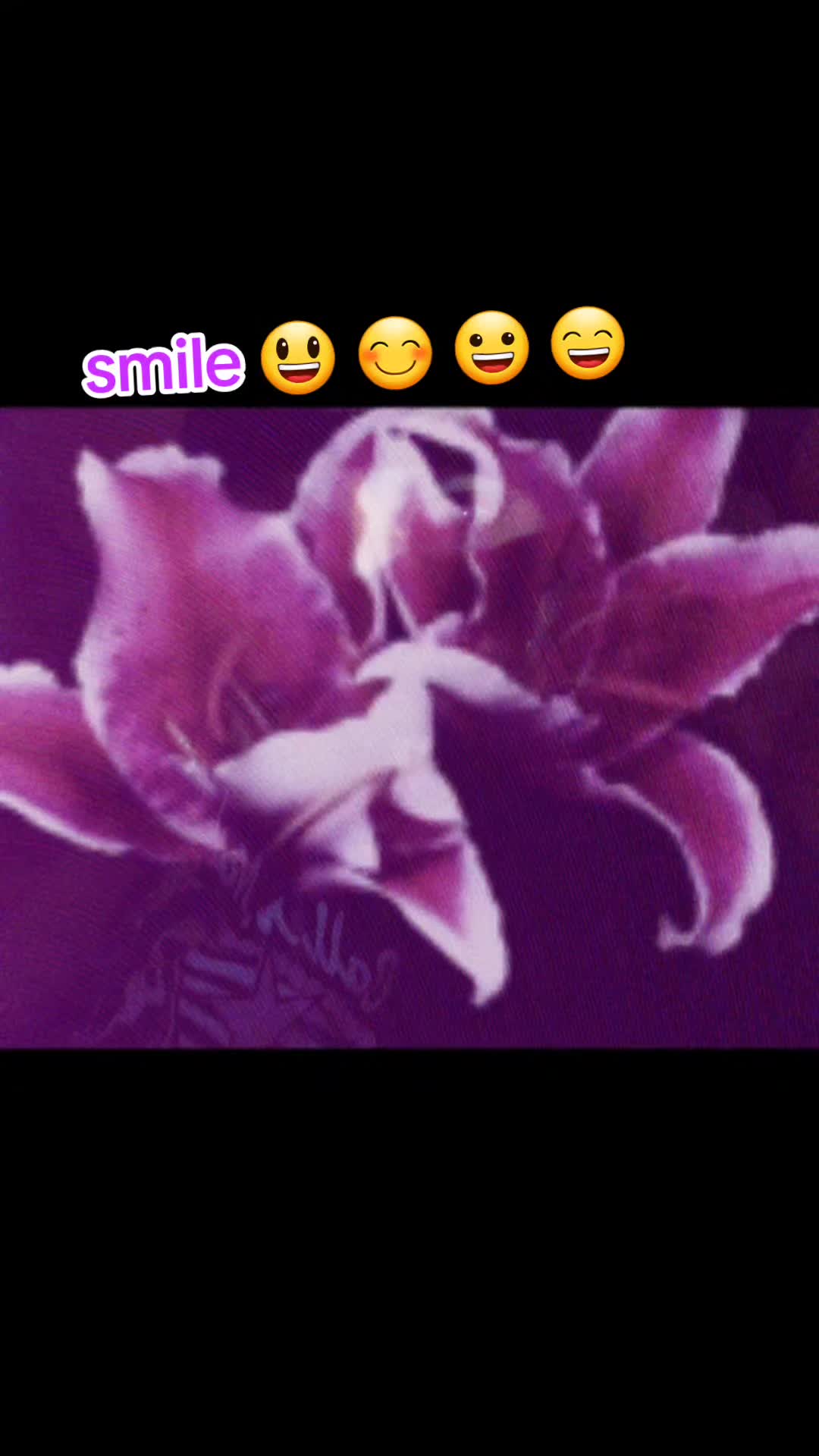 @dark ghosty 👻💋🖤🧡💫