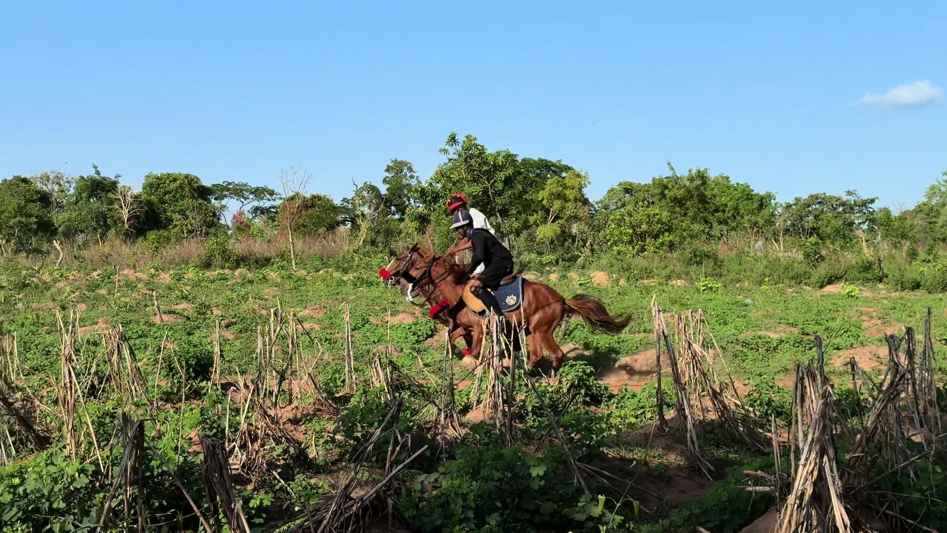 @GIWA🐴EQUESTRIAN🐎♥️WORLDWIDE