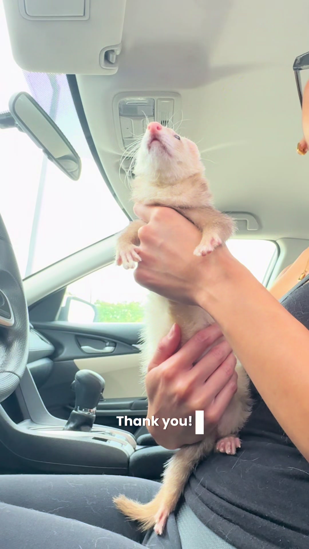 @Moon & Nala