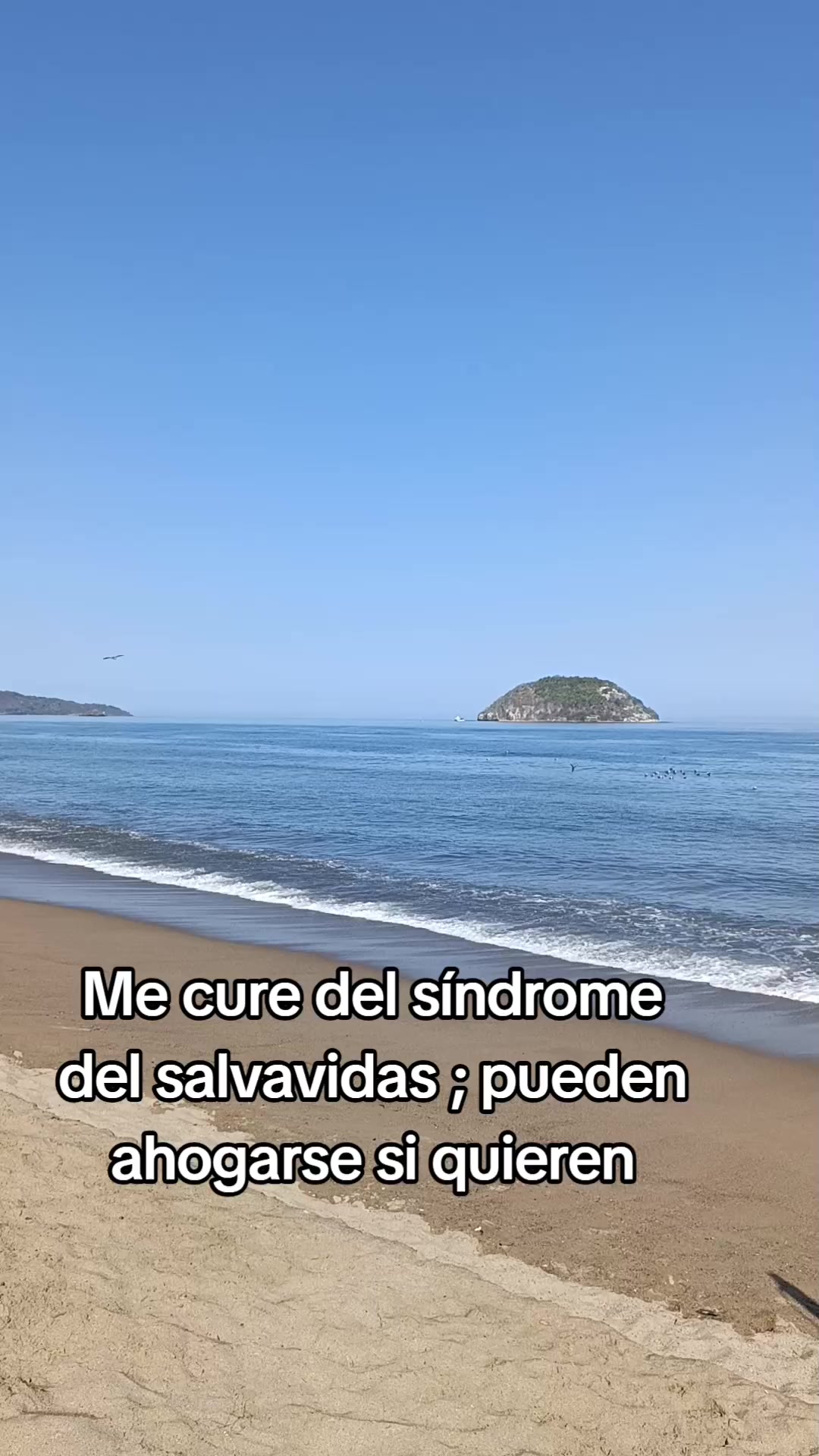 @solecito