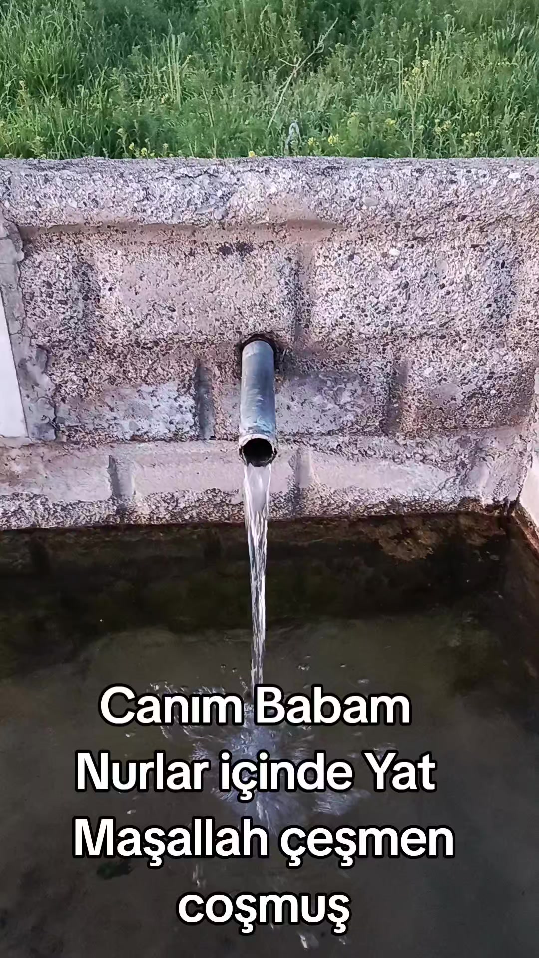 @yılmaz &Ccedil;etinkaya