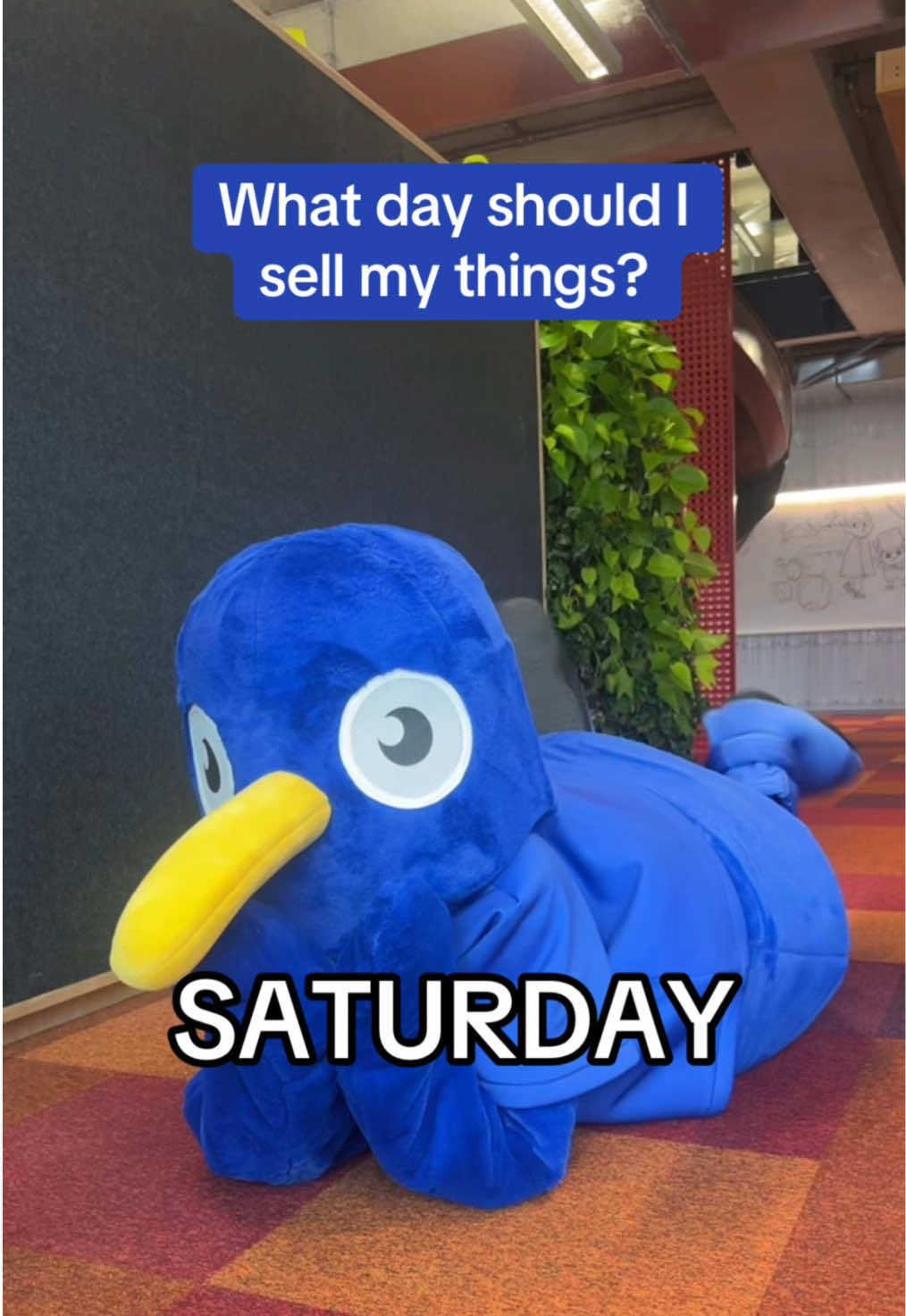@Trade Me
