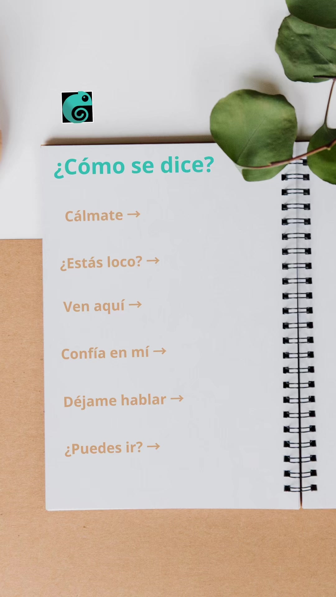 @All Access English