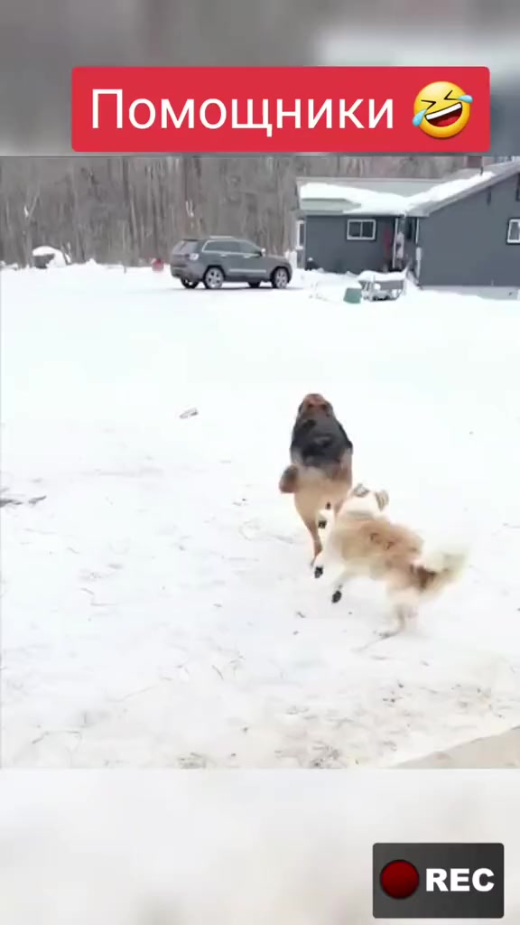 @Лариса