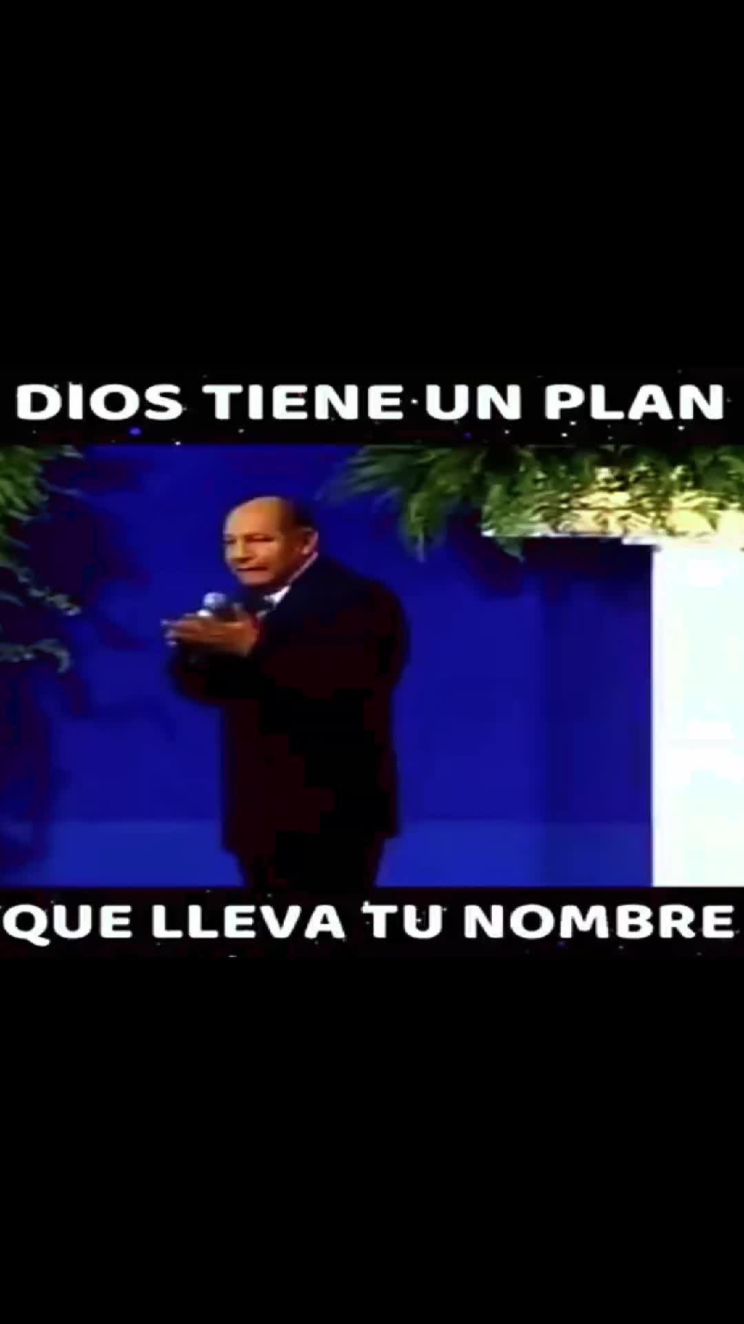 @wil chambi