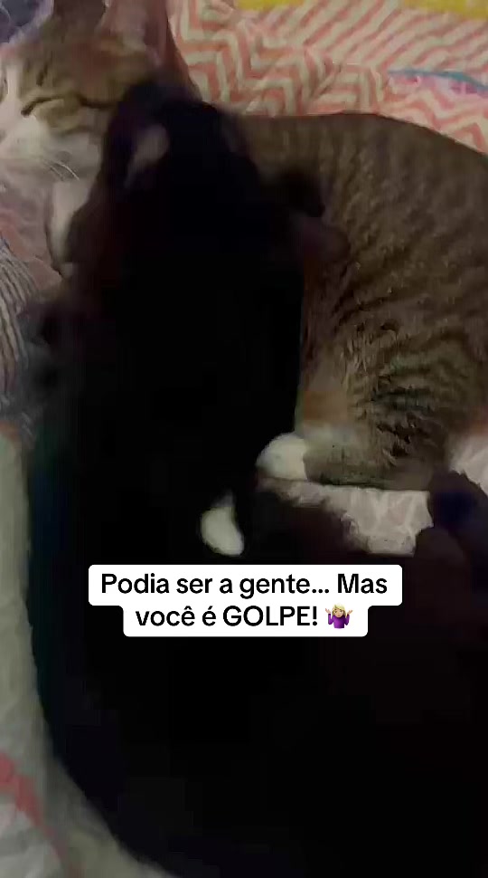 @Mariana Matos ✨