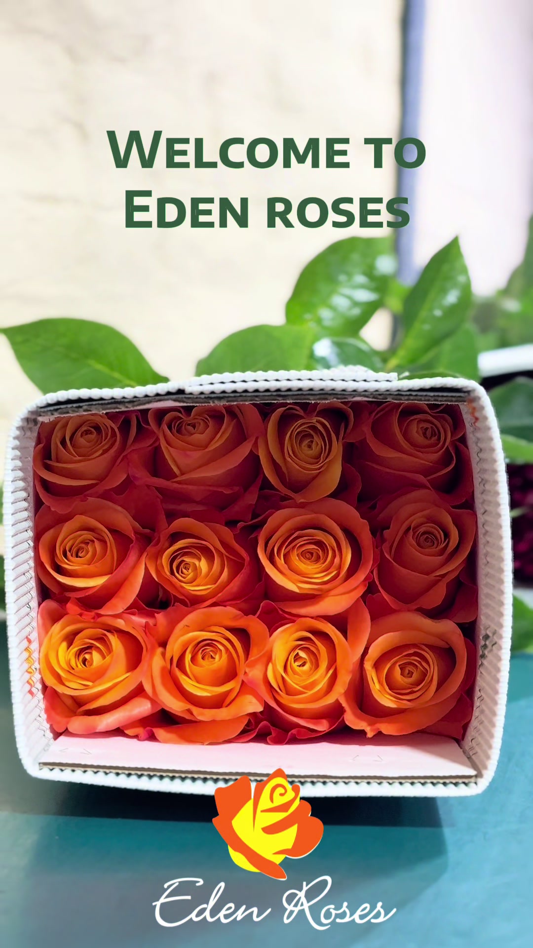 @Eden Roses