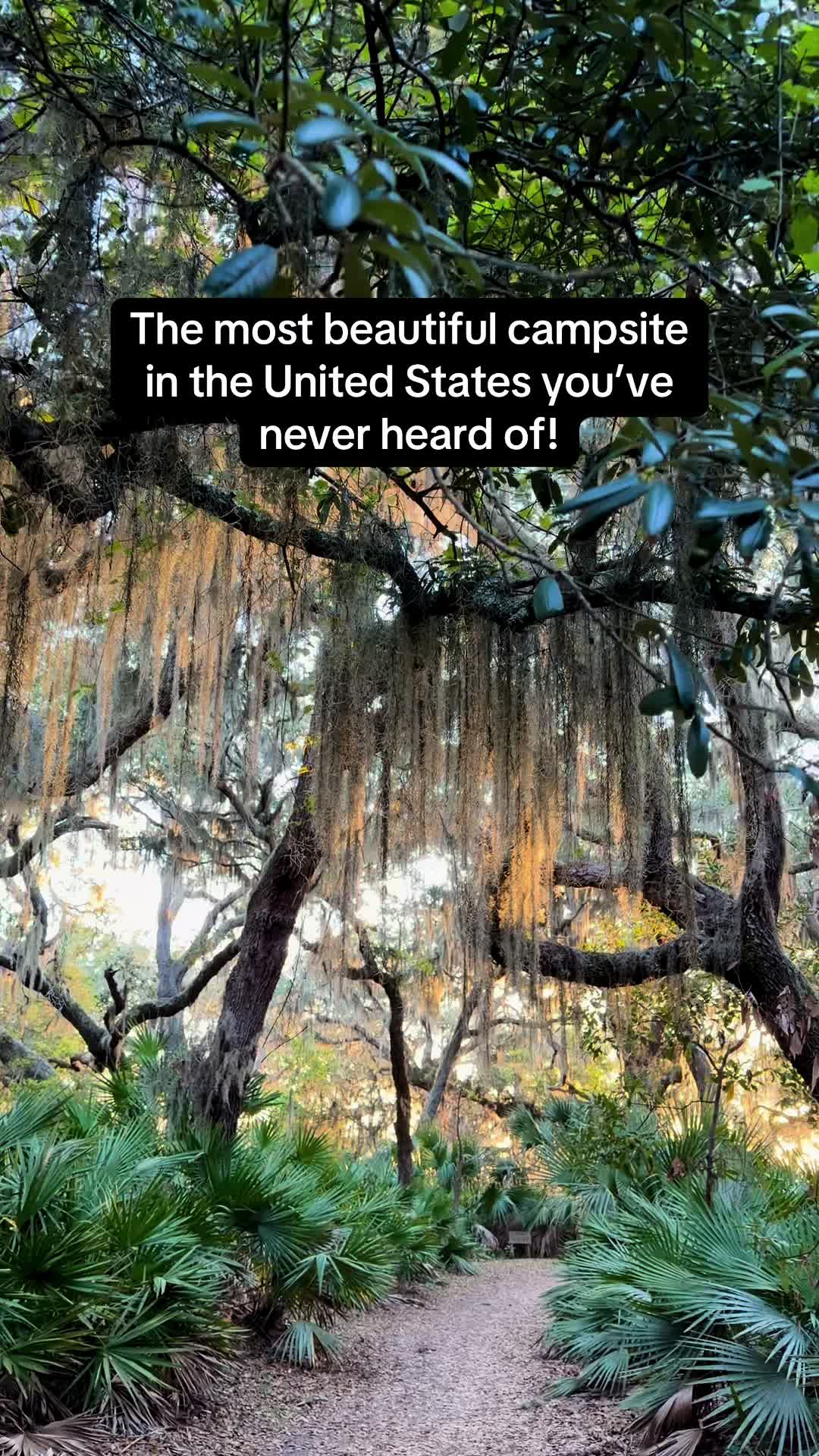 @AbaresAbroad