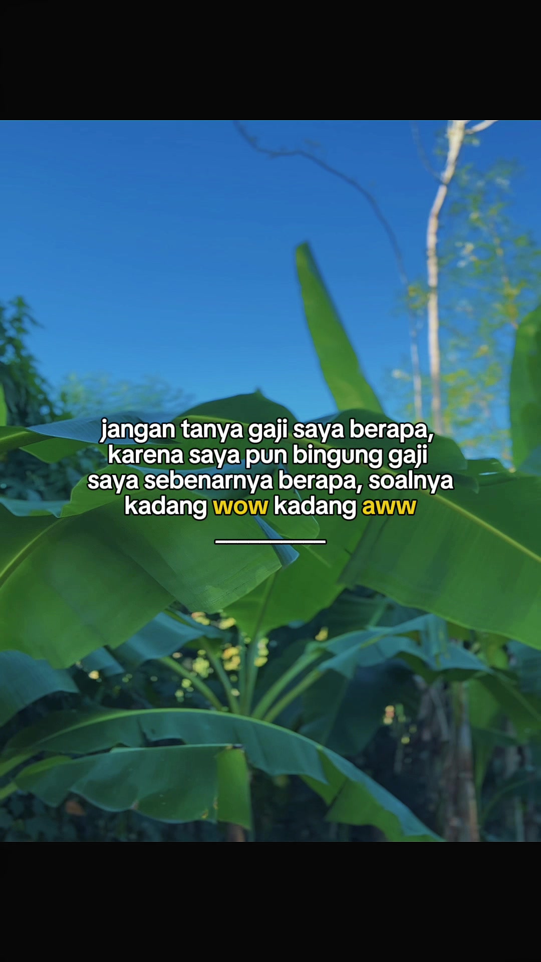 @INTROVERT