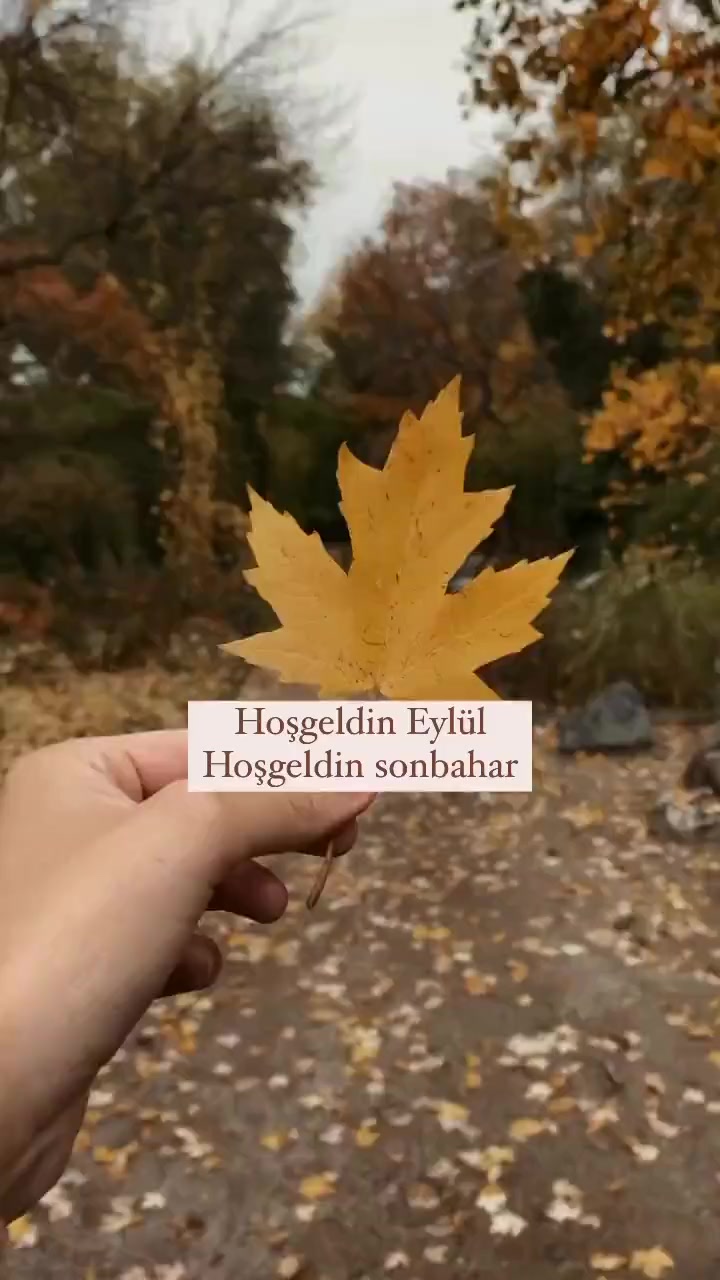 @Ali Bayam