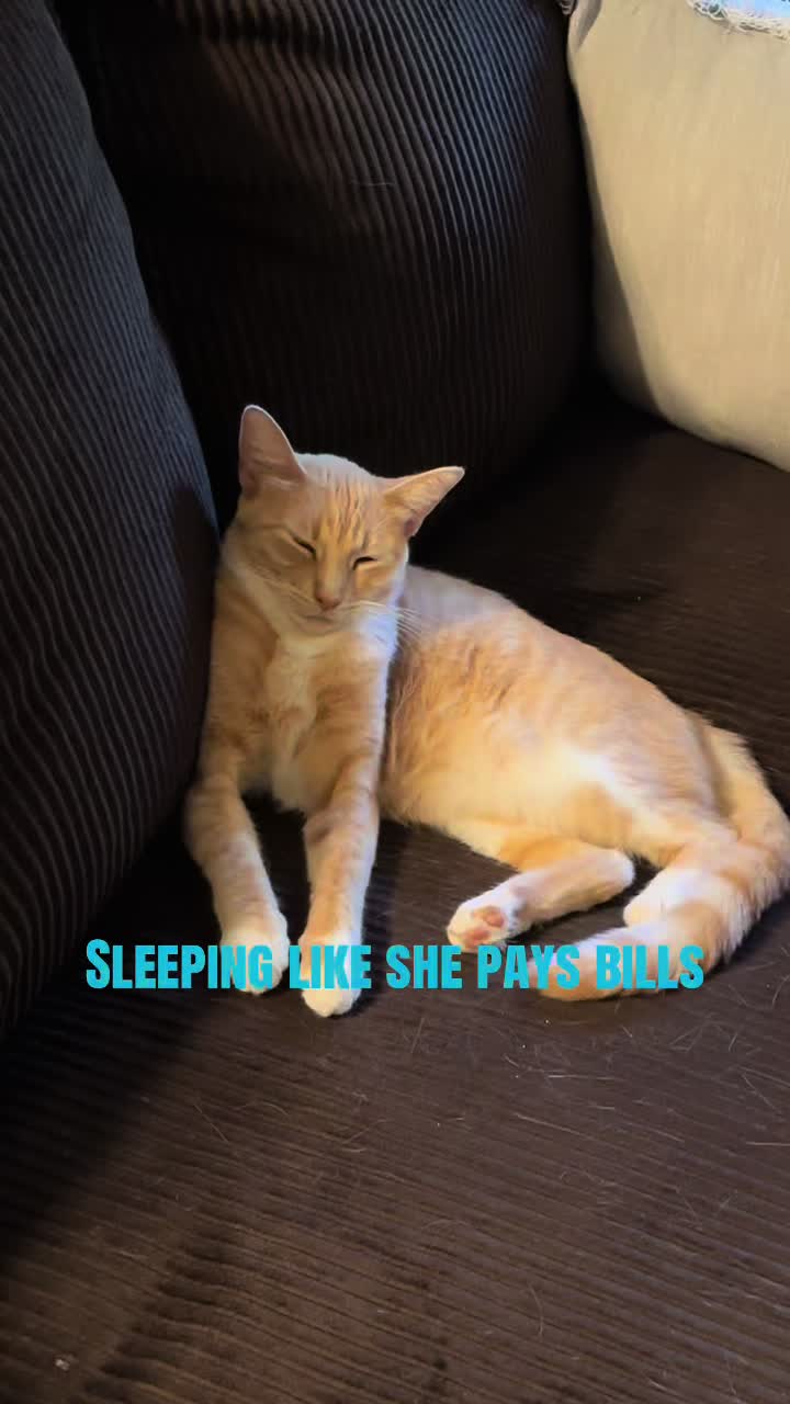 @lazywitch66