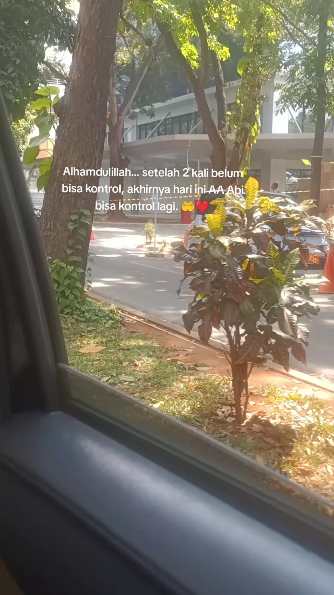 @Istri tani🌱🌶️🥒🫘