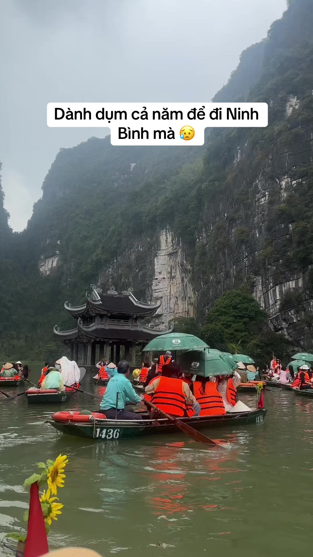 @Ngân Ngân