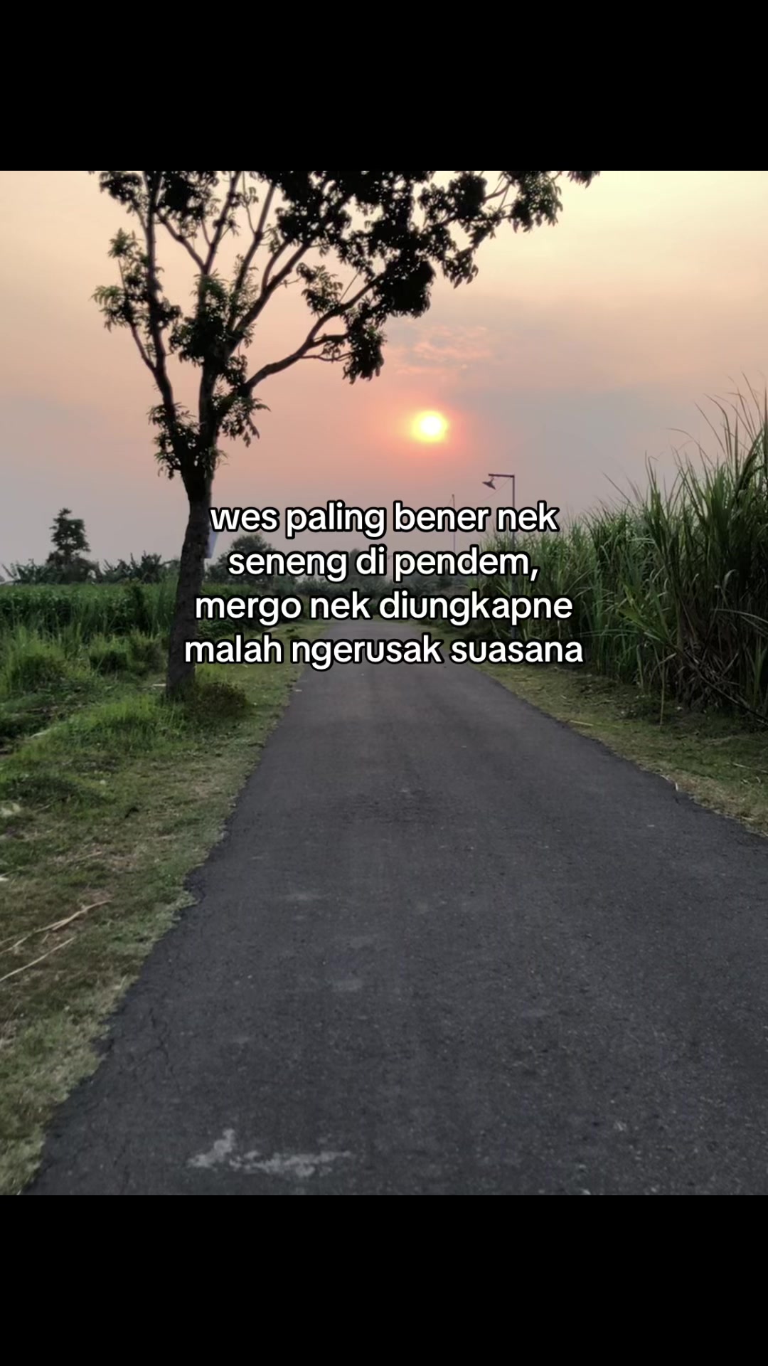 @HoohTenan