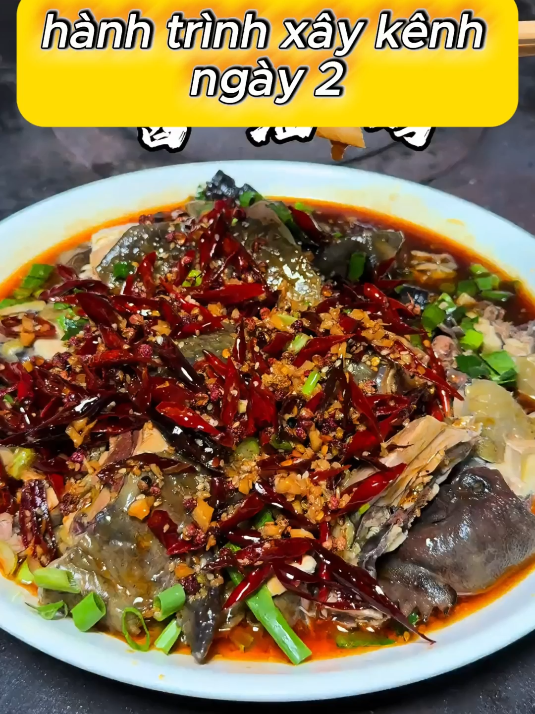 @hanhtrinhmoi333